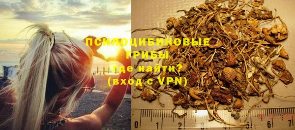 a pvp Абаза