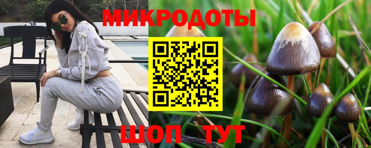 Галлюциногенные грибы прущие грибы Сызрань